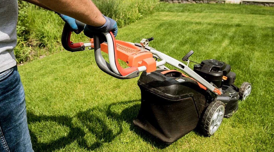 How Often Should You Mow Your Lawn in Summer?
