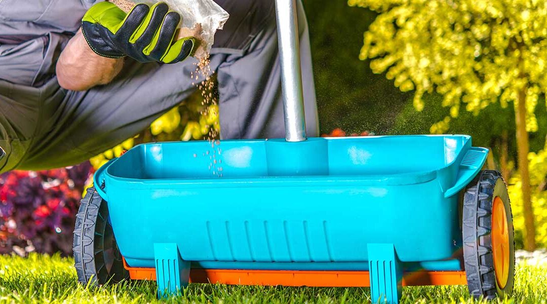 How Often Can You Fertilize Your Lawn Without Causing Damage?