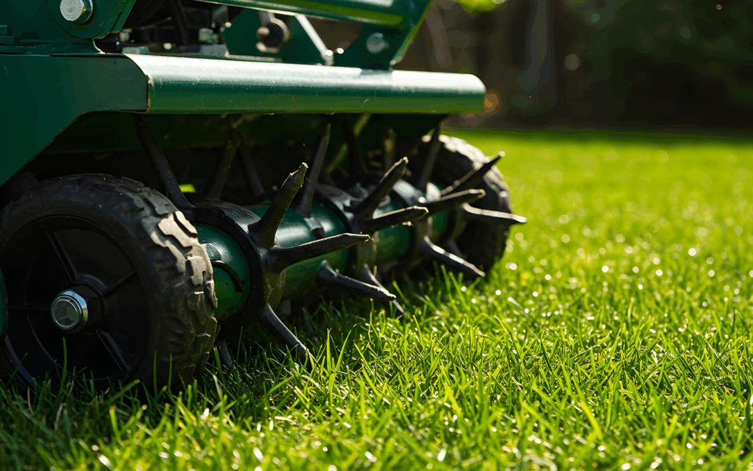 When To Aerate Lawn: Best Timing by Season & Grass Type