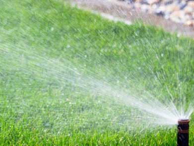 Lawn sprinkler watering a freshly mowed residential yard.